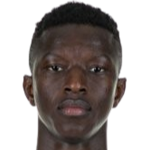 阿马杜·海达拉