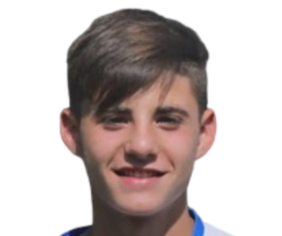 奥格延·乌格雷希克