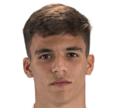 加布里埃尔·维加