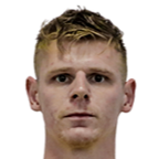 劳尔·乔纳斯·斯蒂芬斯