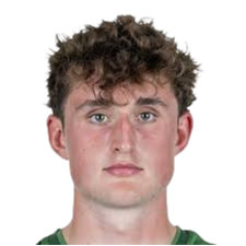 卢卡斯·彼得森