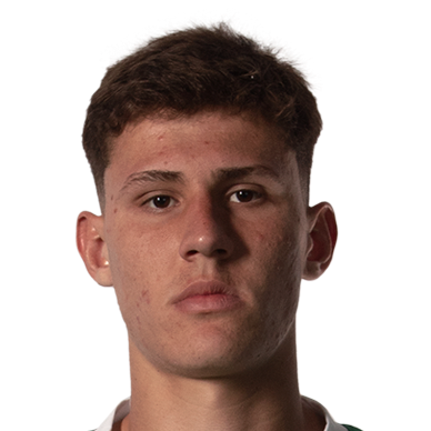 路易斯·古斯塔沃·龙科莱塔·贝内代蒂