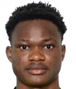 塞韦林·尼乌莱