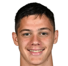 斯特凡·莱科维奇