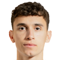 斯特凡·米特罗维奇