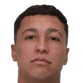 塔利斯·恩里克·戈麦斯·德·阿劳霍