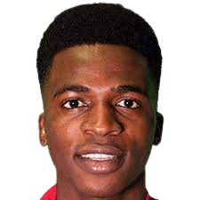 陶菲克·伊斯马约尔